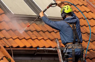 Démoussage et hydrofuge de toiture à Thônes